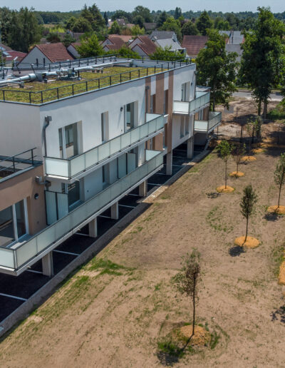 Engazonnement LVV La Vie Verte