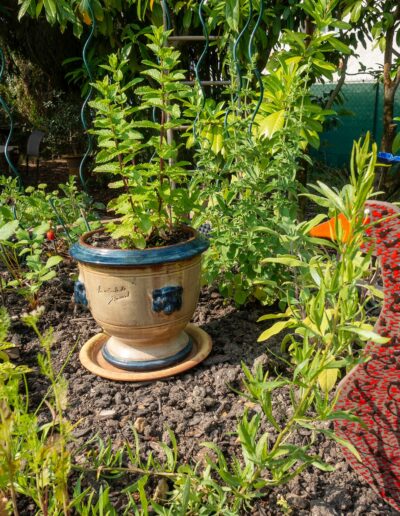 Jardins Particulier LVV La Vie Verte