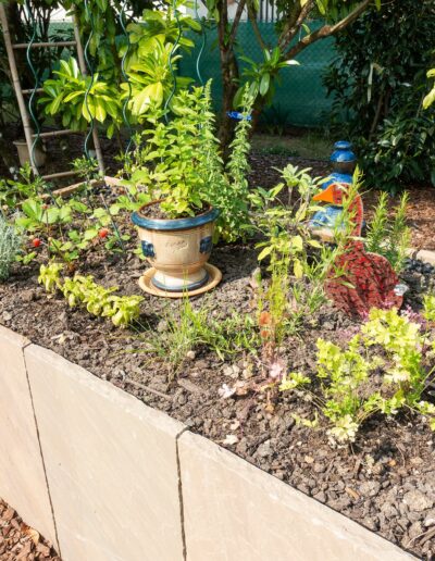 Plantation Pierre LVV La Vie Verte