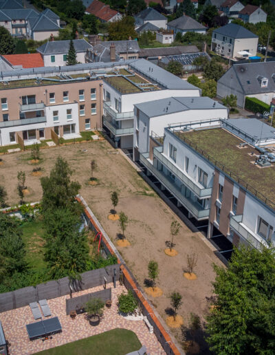 Projet Collectif LVV La Vie Verte